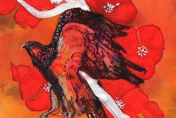 Bea en Buizerd - compr