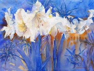 White flower power-C