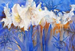 White flower power-C